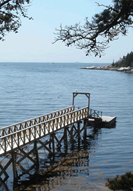 Maine Cottage Dock